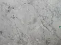 Szary **dolomit** z ciemnymi żyłkami, przypominający marmur. Po prawej stronie widać fragment zielonych liści rośliny.