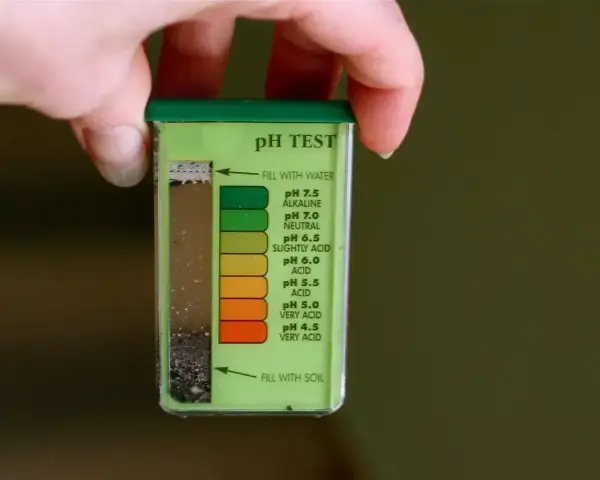 Test pH gleby do wapnowania trawnika. Kolor wskazuje na lekko kwaśne podłoże.
