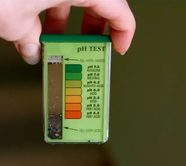 Test pH gleby do wapnowania trawnika. Kolor wskazuje na lekko kwaśne podłoże.